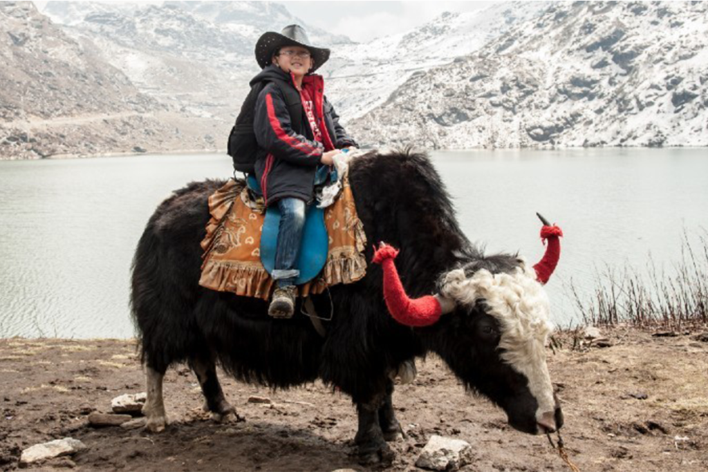 yak-safari-experience.jpg.imgw.1280.1280.jpeg
